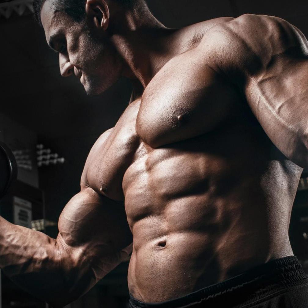 Pharmaqous Pharmaqous